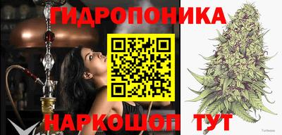 PSILOCYBIN Белорецк