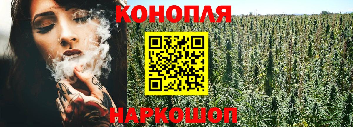 Канабис сатива Екатеринбург
